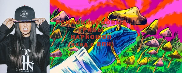 гидропоника Алзамай