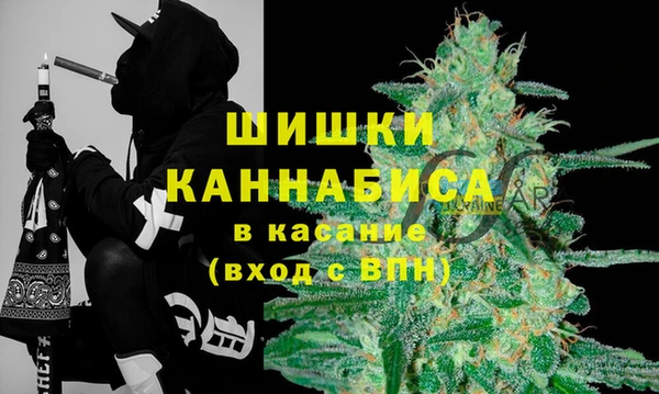 дурь Покачи