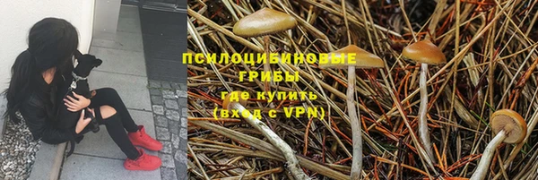 мяу мяу мука Алексин
