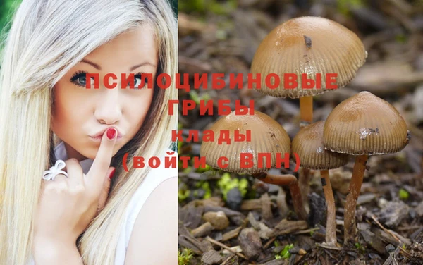 2c-b Алексеевка
