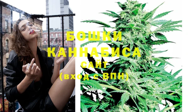 гидропоника Алзамай