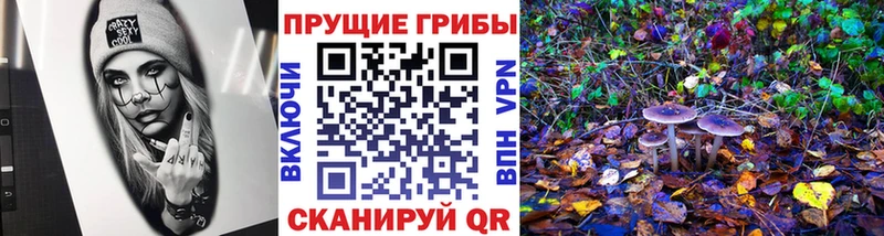 Псилоцибиновые грибы Psilocybe гидра ONION Дубна что такое наркотик